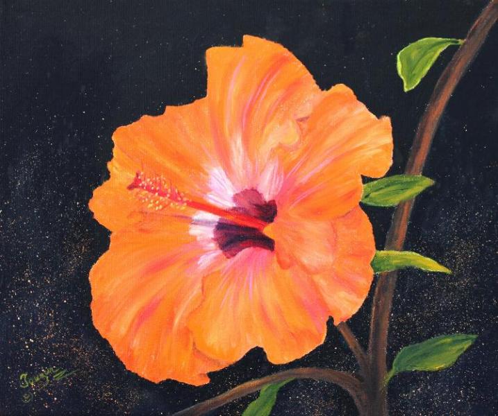 Fleur d\'hibiscus huile